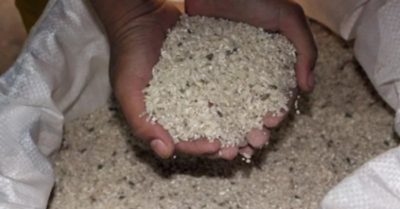 Cách bảo quản gạo khi thời tiết mưa kéo dài, ẩm mốc