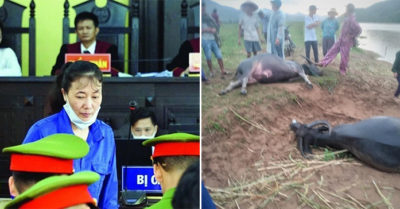 Cập nhật trưa 29/5: Tuyên án vụ gian lận điểm thi Sơn La; Trung Quốc thêm ổ dịch Covid-19 không rõ F0 ở đô thị 2,8 triệu dân