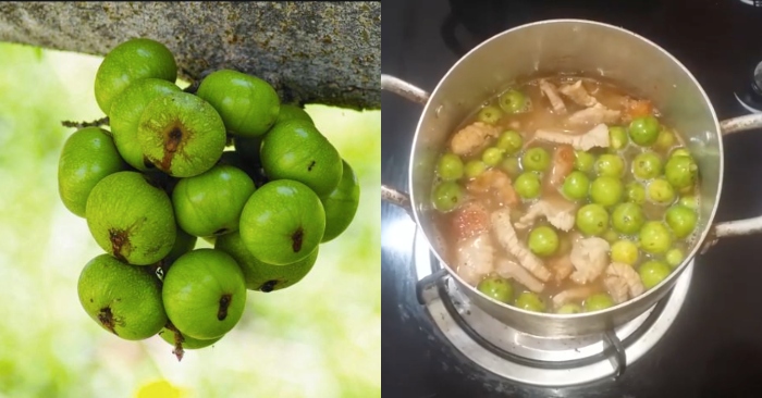 Món sung hầm thịt nạc