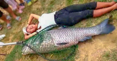 Cận cảnh cá trắm đen nặng hơn 50 kg