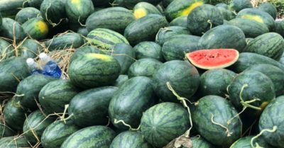 Cách chọn dưa hấu ngon và 6 lợi ích mà loại quả này mang lại