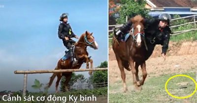 Clip: Kỵ binh Việt Nam huấn luyện ngựa