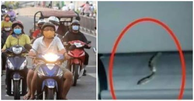 Cập nhật trưa 9/6: Sửa đề xuất phạt xe máy cũ không có đèn nhận diện; Vietjet lên tiếng vụ rắn bò trên máy bay