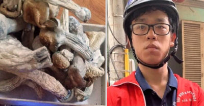 Nuôi ‘nấm ma túy’ để bán, sinh viên Công nghệ sinh học bị bắt