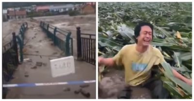 Ba siêu bão liên tiếp tàn phá mùa màng, nông dân Trung Quốc khóc hết nước mắt