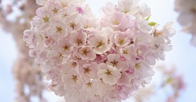 Sống thật với lòng mình