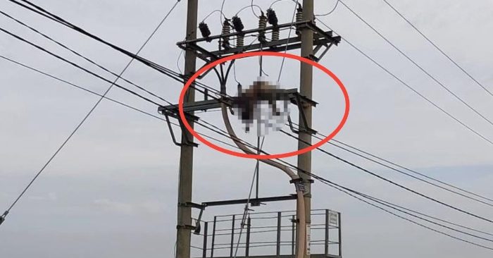 Dân thôn Đức Phong phát hiện người đàn ông bị treo trên cột điện, quần áo cháy xém