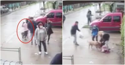 Chó pitbull tấn công, cắn xé bé gái giữa phố được camera ghi lại