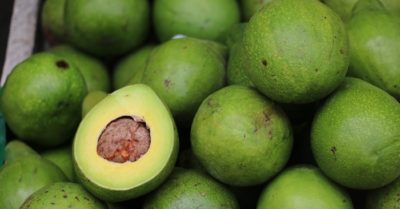 Quả bơ – thực phẩm vàng cho sức khỏe của bạn