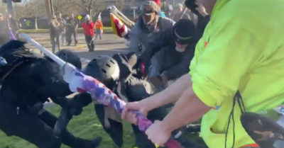 Video: Nhóm Antifa hèn nhát thoái lui trước những người Mỹ yêu nước ủng hộ Trump