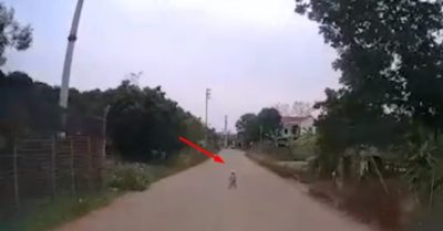 Video tài xế giật mình vì em bé chập chững xuất hiện ngay mũi ôtô