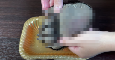 Làm video ăn bàn chân gấu, YouTuber Quỳnh Trần JP bị nhiều phụ huynh phản ứng gay gắt