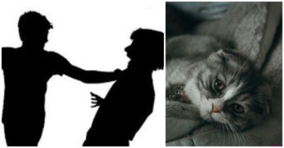 Thầy giáo đập lún sọ người đi đường vì mâu thuẫn với hàng xóm vụ mất con mèo