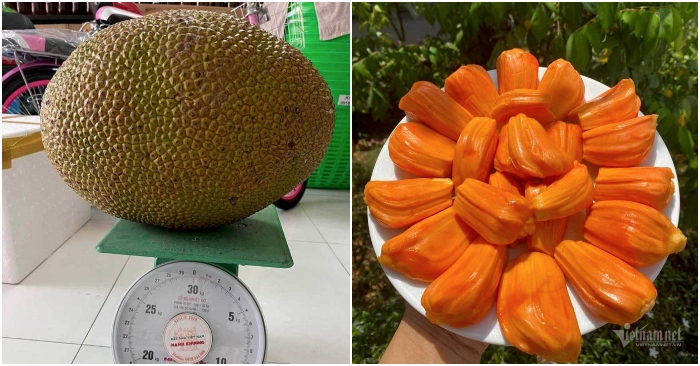 mít miền tây