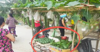Anh bán rau có cách bán hàng cao tay, dân mạng thán phục ‘bậc thầy marketing là đây’