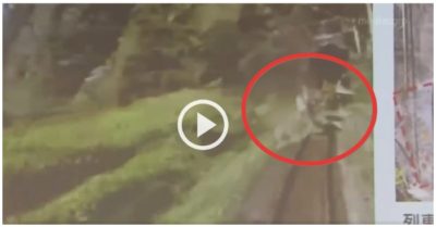 Video một phút trước thảm họa: Tàu cao tốc đâm vào xe tải khiến 50 người thiệt mạng