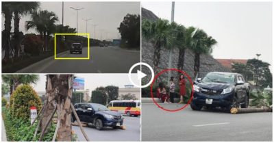 Video khoảnh khắc xe bán tải tông hàng loạt cây xanh rồi lao sang làn đường ngược chiều