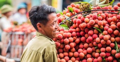 3 kịch bản tiêu thụ 180.000 tấn vải thiều Bắc Giang