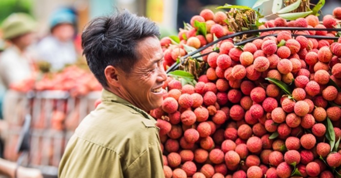 Vải thiều bắc giang