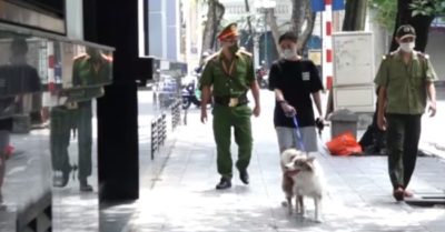 Dắt chó trên phố Hàng Trống, cô gái bị phạt 2 triệu đồng