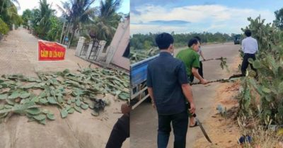Lực lượng chống dịch rải xương rồng gai chặn lối đi