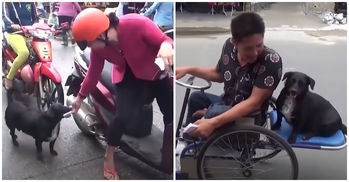chú chó
