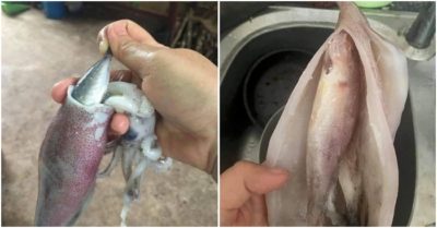 Những lần mua mực được “tặng cá” làm nhiều người hoang mang