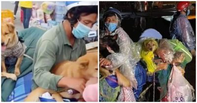 Cà Mau: Tiêu hủy 16 con chó, mèo của đôi vợ chồng chở xe máy về quê