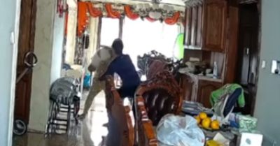 Video: Bà phản xạ cực nhanh cứu cháu 4 tháng tuổi thoát cú ngã đau