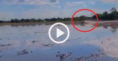 Video: Thanh niên chạy máy cày như ‘bay’ trên ruộng