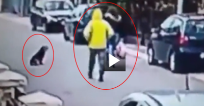 Video: Chú chó phản xạ nhanh tấn công tên cướp khi thấy cô gái bị xô ngã