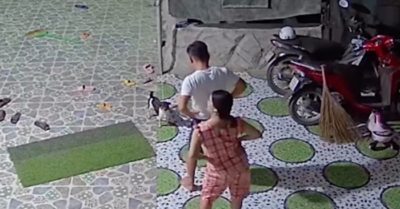 Video: Sau khi giải cứu từ lò mổ về, 2 vợ chồng ra nhún nhảy để cún cưng bớt sợ