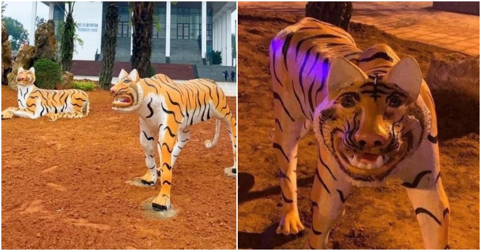 hổ 5