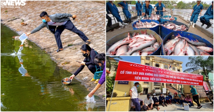tối 23/1