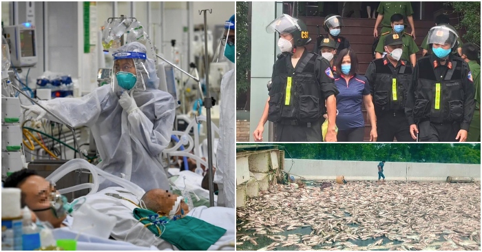 tổng hợp tối 4/1