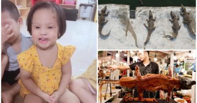 Cập nhật tối 22/1: Thịt heo đắt đỏ, người dân chuyển sang ăn thịt cá sấu; Bé gái bị găm đinh vào đầu rất nguy kịch