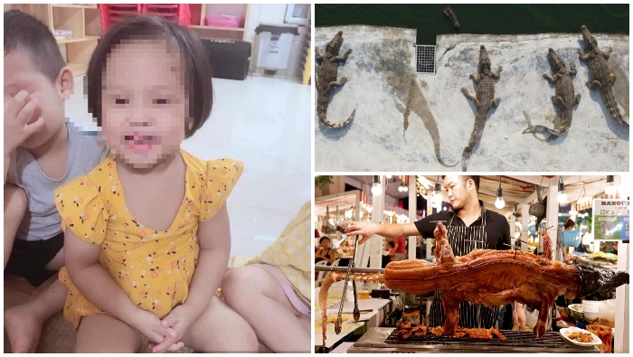 tối ngày 22/1