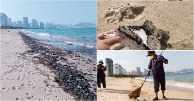 Hàng tấn dầu thô vón cục, nhuộm đen bờ biển Nha Trang