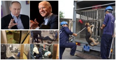 Tin sáng 13/4: Đội bắt chó thả rông nên nhân rộng cả nước? Biden ‘thêm dầu vào lửa’ với Putin