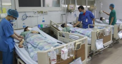 Lào Cai: Ăn nhầm ngọn hoa chuông, 10 người nhập viện