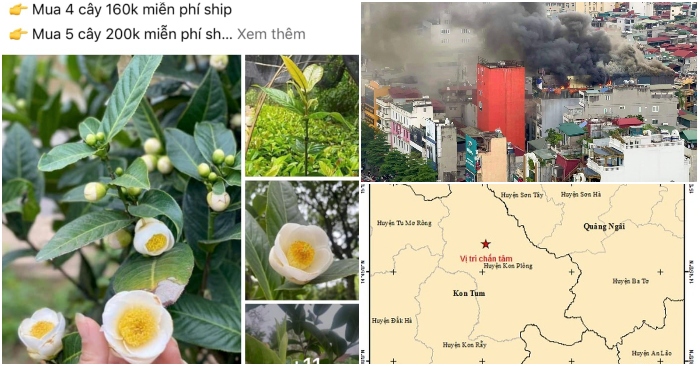 tối 16/5