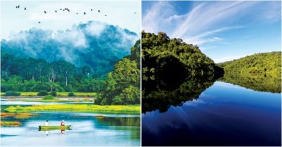 Phá mất 44 ha rừng ở Khu sinh quyển thế giới nếu làm đường