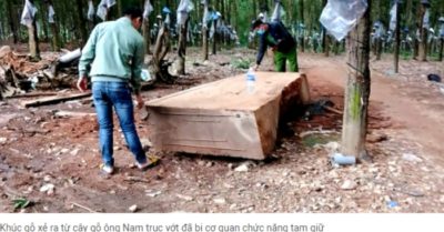 Phát hiện gỗ lớn dưới ruộng, người đàn ông bỏ 90 triệu vớt lên thì công an tạm giữ