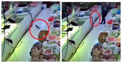 Video: Vừa nhảy ra ngoài, cá bị nữ nhân viên sút bay vào bể