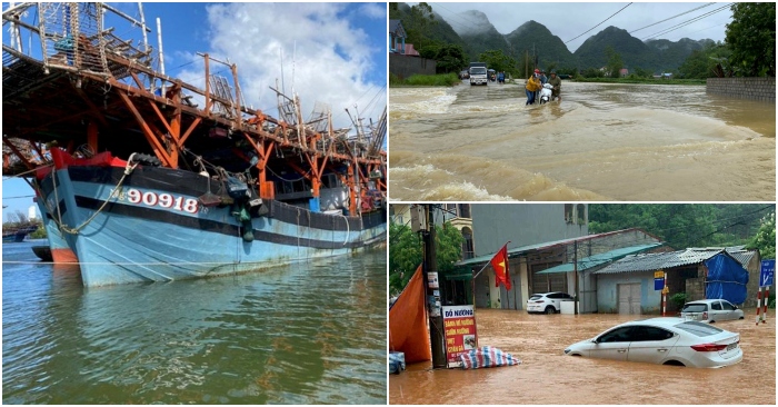 tổng hợp tối 10/5
