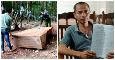 Người đàn ông đào được gỗ lớn dưới ruộng có thể bị xử phạt vì tự ý cưa xẻ