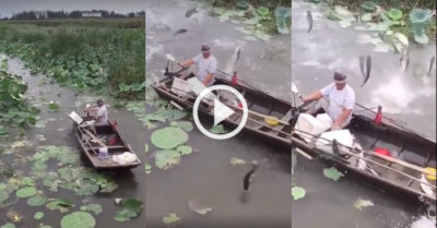 Video: Cá rào rào nhảy lên khi người đàn ông lái thuyền qua